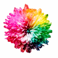 Artificial Flowers (Decorative)